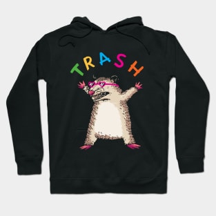 Trash Opossum wearing heart sunglasses Hoodie